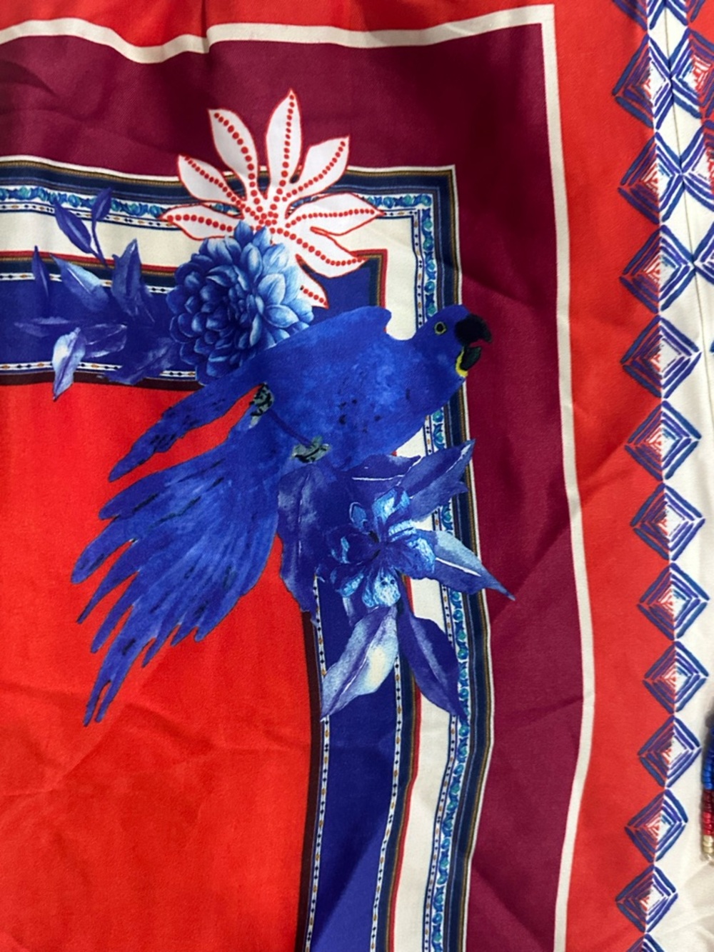 FARM Rio Red Striped Floral & Macaw Cropped Pants - Picture 6 of 6